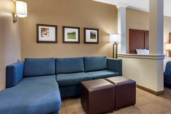 Suite - Comfort Suites Bozeman - I-90, Exit 305