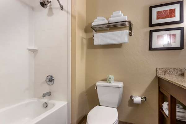 Suite - Comfort Suites Bozeman - I-90, Exit 305