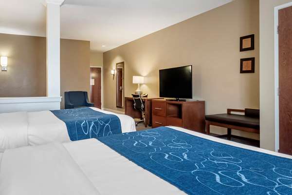 Suite - Comfort Suites Bozeman - I-90, Exit 305