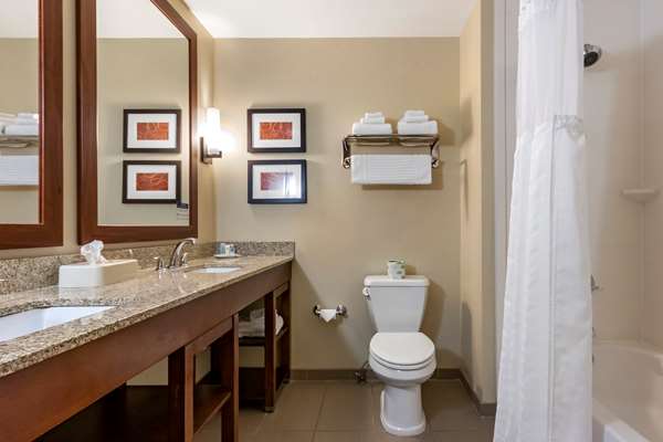 Suite - Comfort Suites Bozeman - I-90, Exit 305