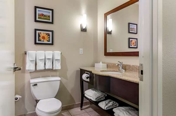 Suite - Comfort Suites Helena - I-15, Exit 194