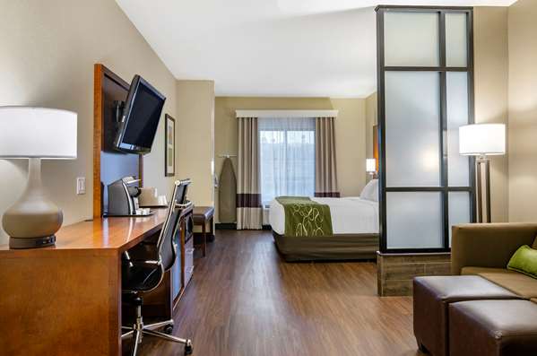 Suite - Comfort Suites Helena - I-15, Exit 194