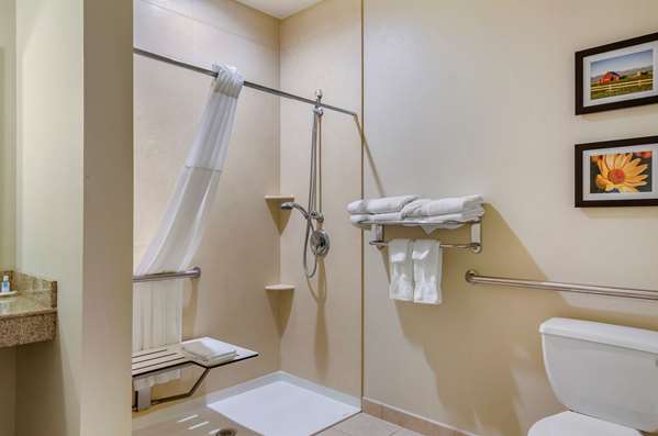 Suite - Comfort Suites Helena - I-15, Exit 194