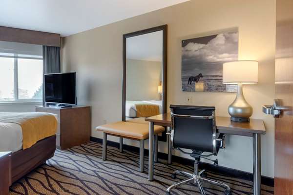 Suite - Comfort Inn & Suites Great Falls Airport
