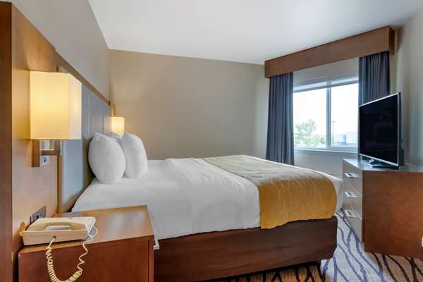 Suite - Comfort Inn & Suites Great Falls Airport