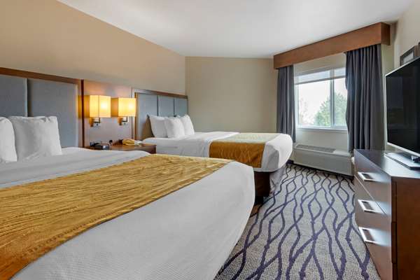 Suite - Comfort Inn & Suites Great Falls Airport