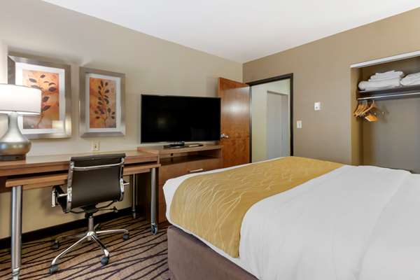 Suite - Comfort Inn & Suites Great Falls Airport