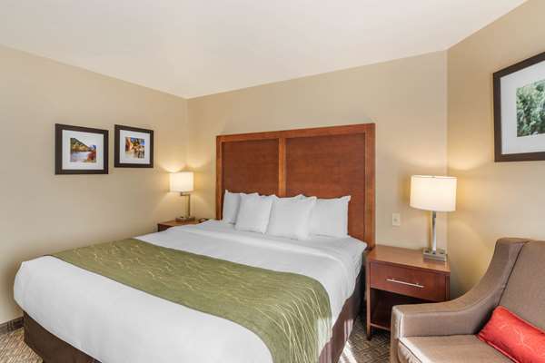 Suite - Comfort Inn Missoula - I-90, Exit 105