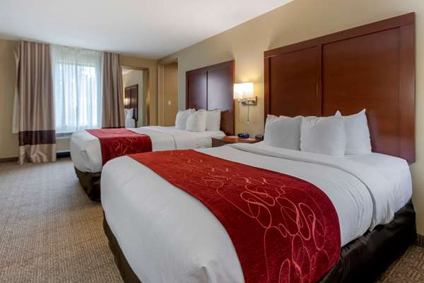  - Comfort Suites Zoo Montana Billings - I-90, Exit 447