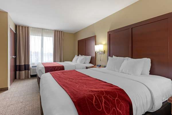 Suite - Comfort Suites Zoo Montana Billings - I-90, Exit 447