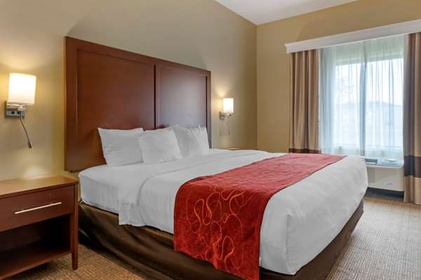 Suite - Comfort Suites Zoo Montana Billings - I-90, Exit 447