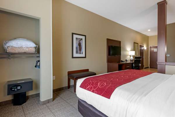 Suite - Comfort Suites Zoo Montana Billings - I-90, Exit 447