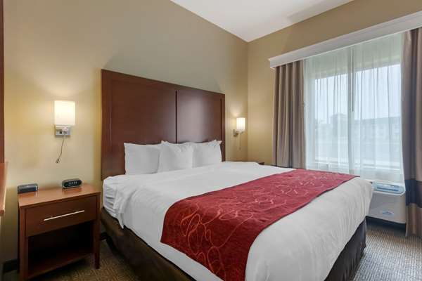 Suite - Comfort Suites Zoo Montana Billings - I-90, Exit 447