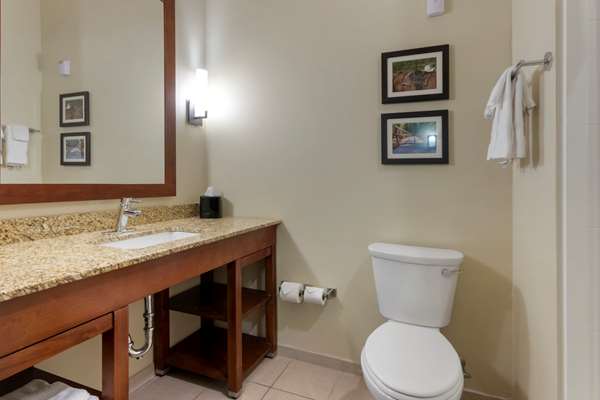 Suite - Comfort Suites Zoo Montana Billings - I-90, Exit 447