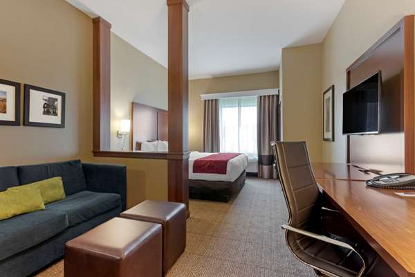 Suite - Comfort Suites Zoo Montana Billings - I-90, Exit 447