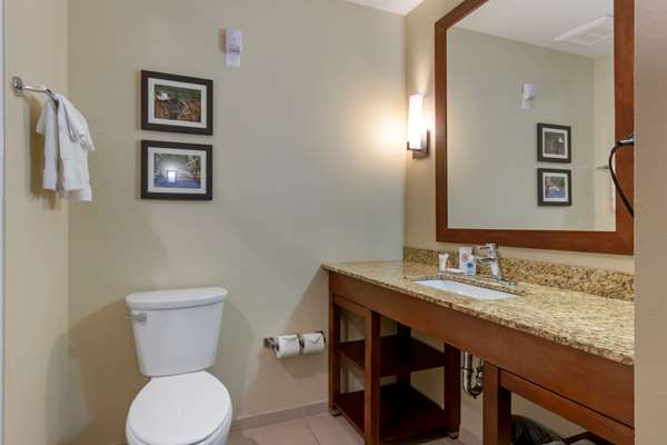 Suite - Comfort Suites Zoo Montana Billings - I-90, Exit 447