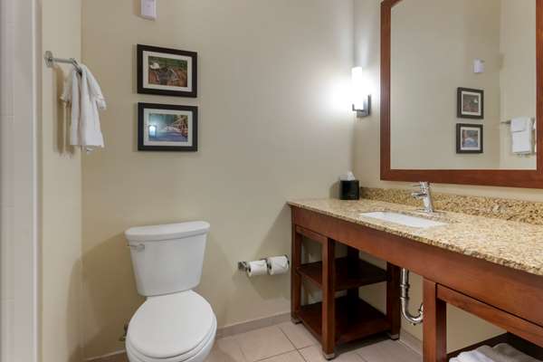 Suite - Comfort Suites Zoo Montana Billings - I-90, Exit 447