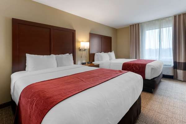 Suite - Comfort Suites Zoo Montana Billings - I-90, Exit 447