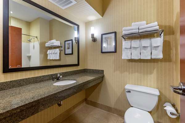Suite - Comfort Inn Shelby