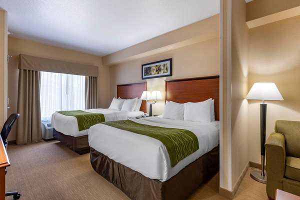Suite - Comfort Inn Shelby
