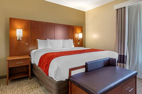 Suite - Comfort Suites Jacksonville