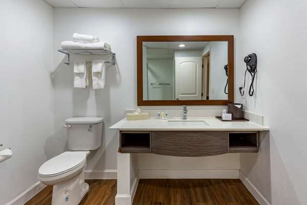 Suite - Comfort Suites Jacksonville