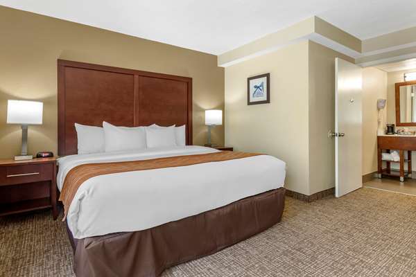 Suite - Comfort Inn Executive Park Charlotte - I-77, Exit 5