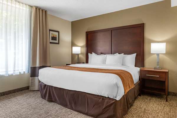 Suite - Comfort Inn Executive Park Charlotte - I-77, Exit 5