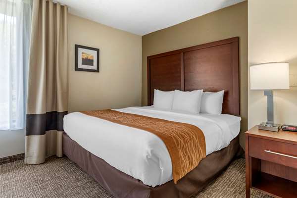 Suite - Comfort Inn Executive Park Charlotte - I-77, Exit 5