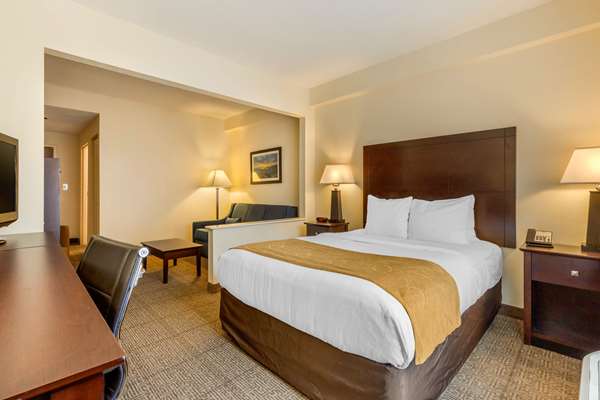  - Comfort Suites Gastonia - I-85, Exit 20