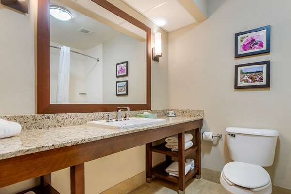  - Comfort Suites Gastonia - I-85, Exit 20