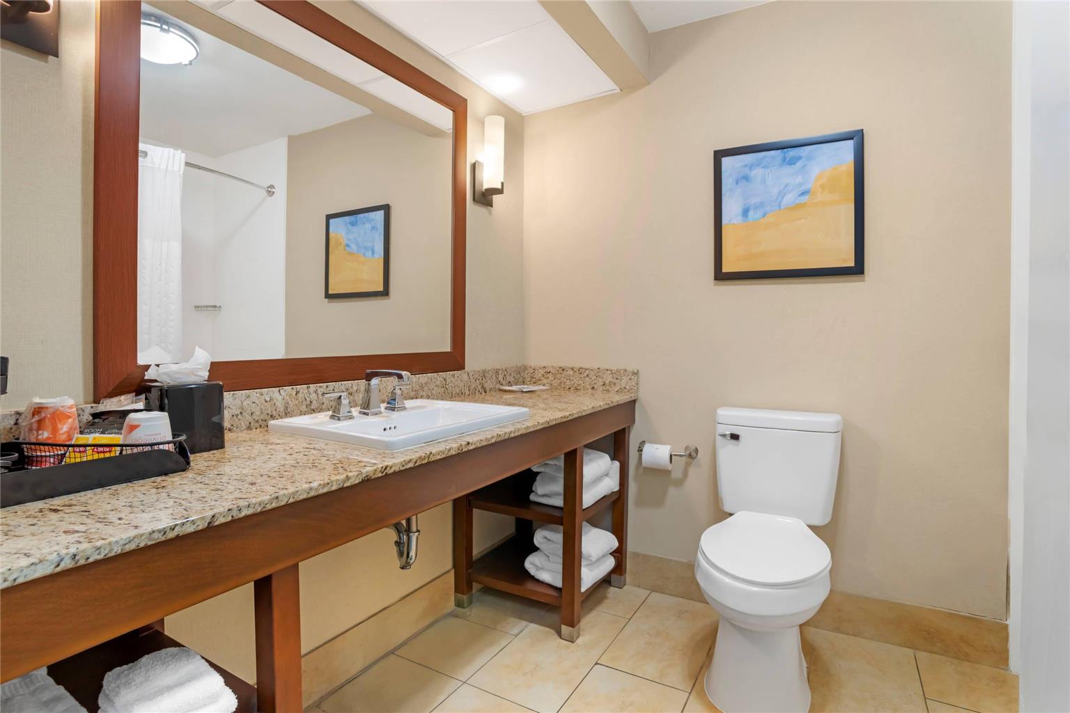 COMFORT SUITES GASTONIA - CHARLOTTE-guestroom-Guest Room,Bathroom,On-Site.jpg