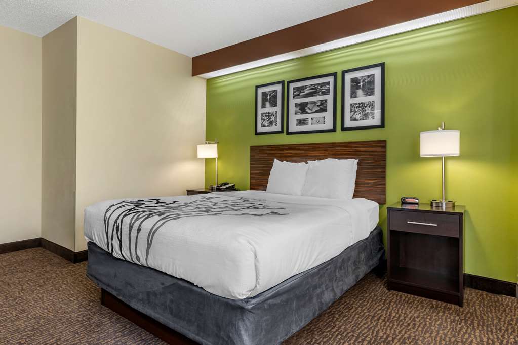SLEEP INN MATTHEWS-CHARLOTTE-guestroom-Guest Room,On-Site.jpg