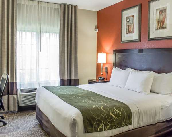 Suite - Comfort Suites Cary