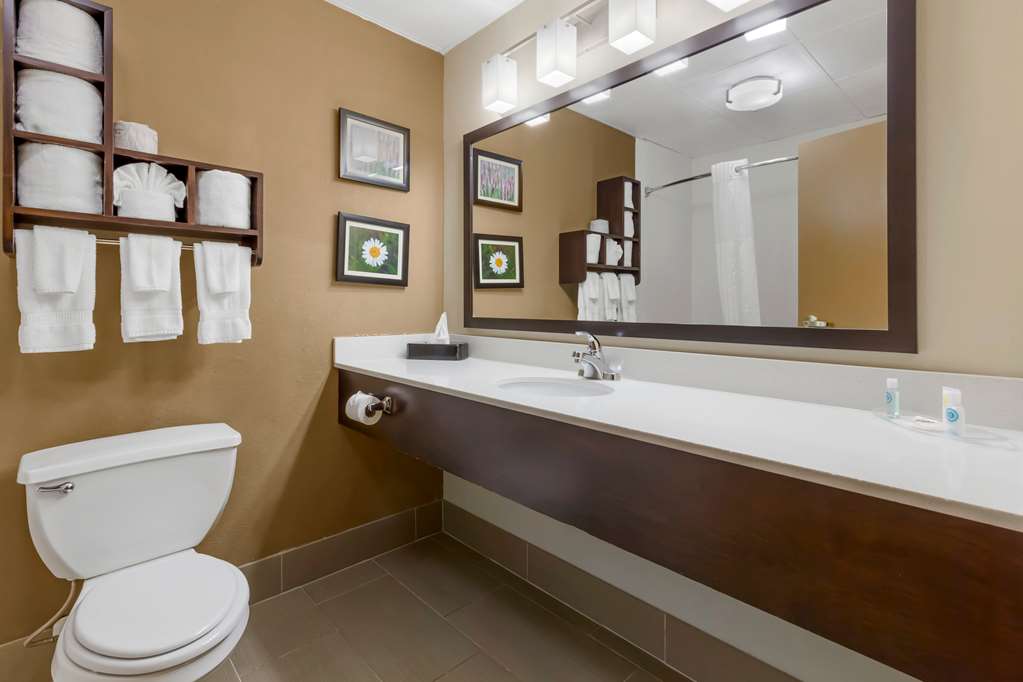 COMFORT SUITES REGENCY PARK-guestroom-Guest Room,Bathroom,On-Site.jpg
