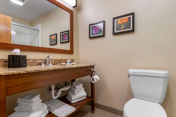 Suite - Comfort Suites Boone