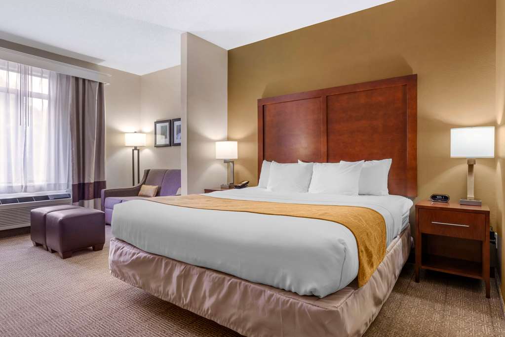 COMFORT SUITES BOONE - UNIVERSITY A-guestroom-Guest Room,Suite,On-Site.jpg