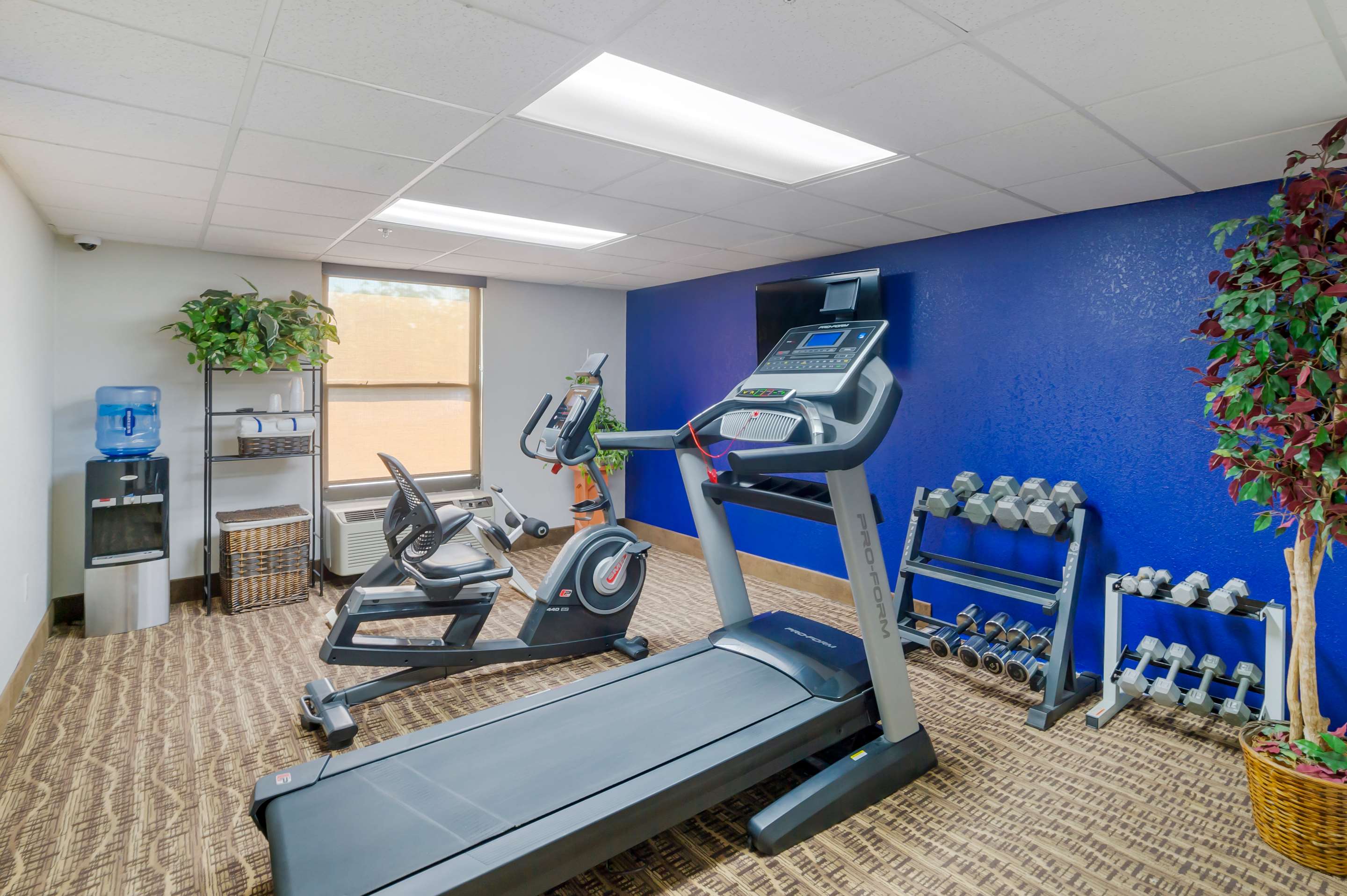 Fitness center | Comfort Inn Asheville Airport