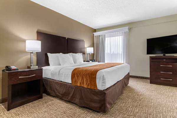 Suite - Comfort Inn & Suites Cornelius - I-77, Exit 28