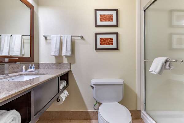  - Comfort Inn & Suites Cornelius - I-77, Exit 28