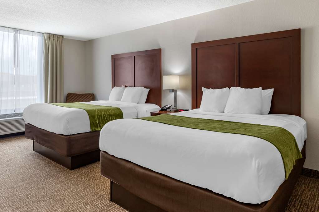 COMFORT INN SHELBY-guestroom-Guest Room,On-Site.jpg