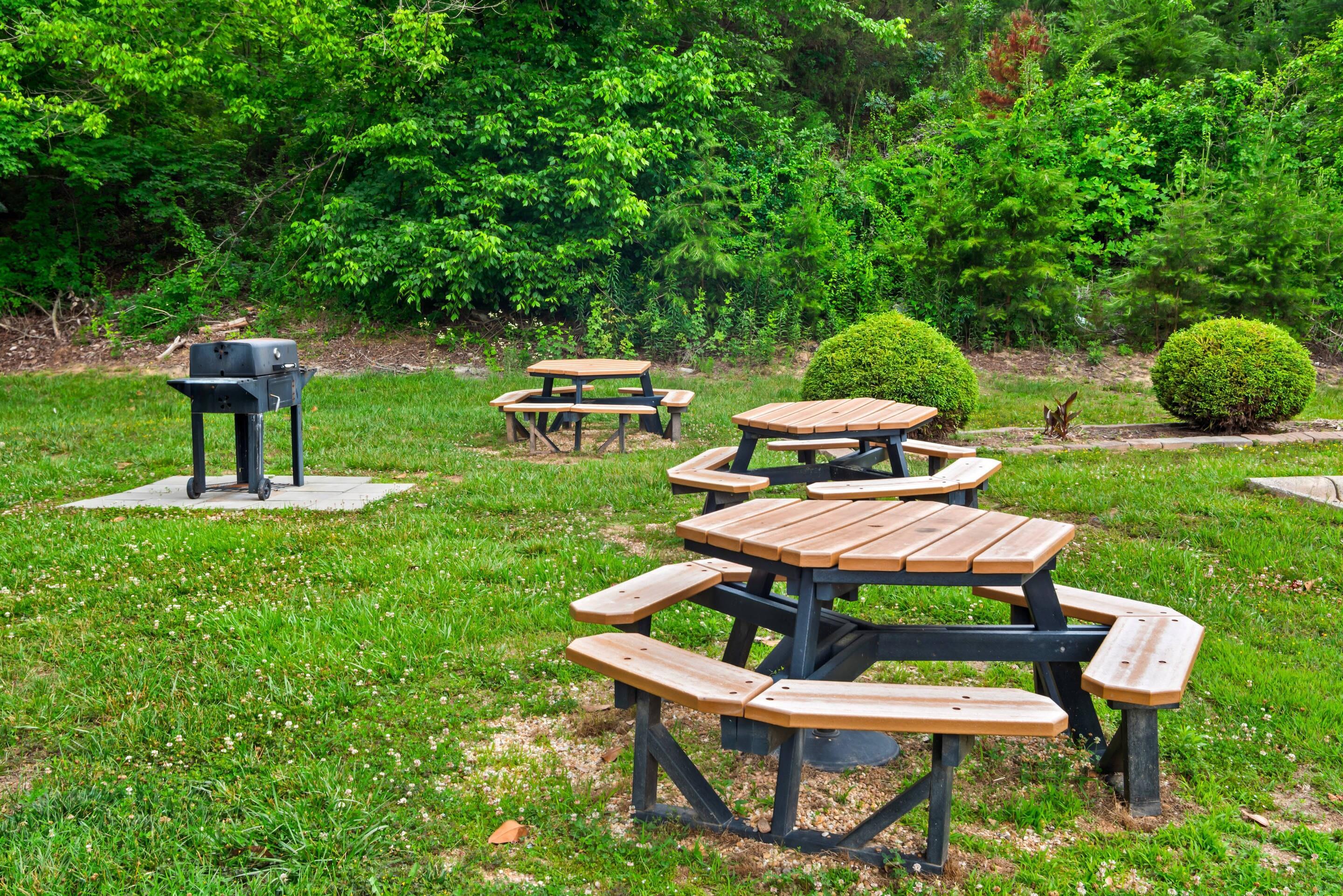 Barbecue area