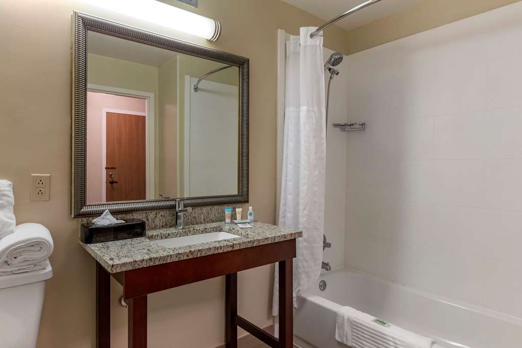 COMFORT INN LAURINBURG-guestroom-Guest Room,Bathroom,On-Site.jpg