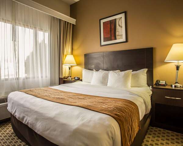 Suite - Comfort Suites Lumberton - I-95, Exit 22