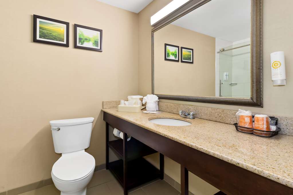 COMFORT SUITES LUMBERTON NORTH-guestroom-Guest Room,Bathroom,On-Site.jpg