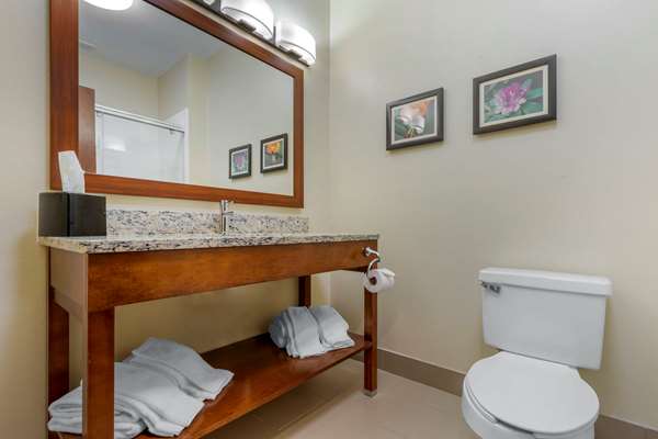 Suite - Comfort Inn Lenoir
