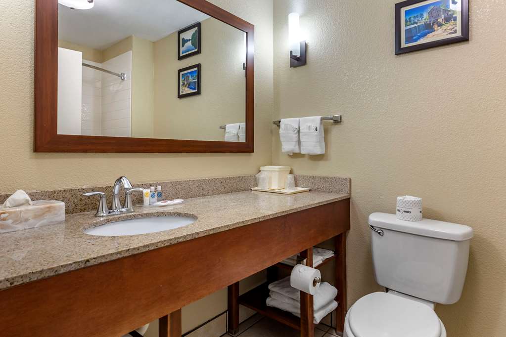COMFORT SUITES CLAYTON - GARNER-guestroom-Guest Room,Bathroom,On-Site.jpg