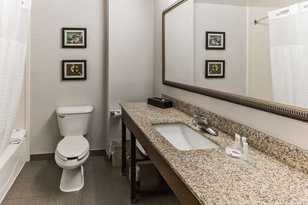  - Comfort Suites Salisbury - I-85, Exit 76