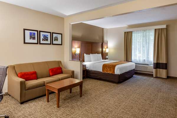 Suite - Comfort Suites Corporation Parkway Raleigh
