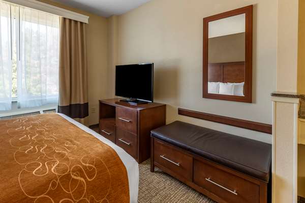 Suite - Comfort Suites Corporation Parkway Raleigh